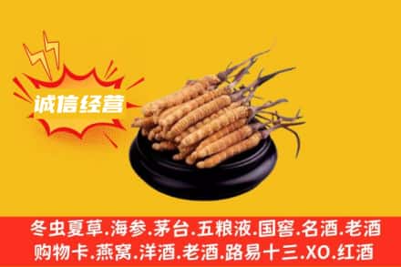中卫市海原回收冬虫夏草